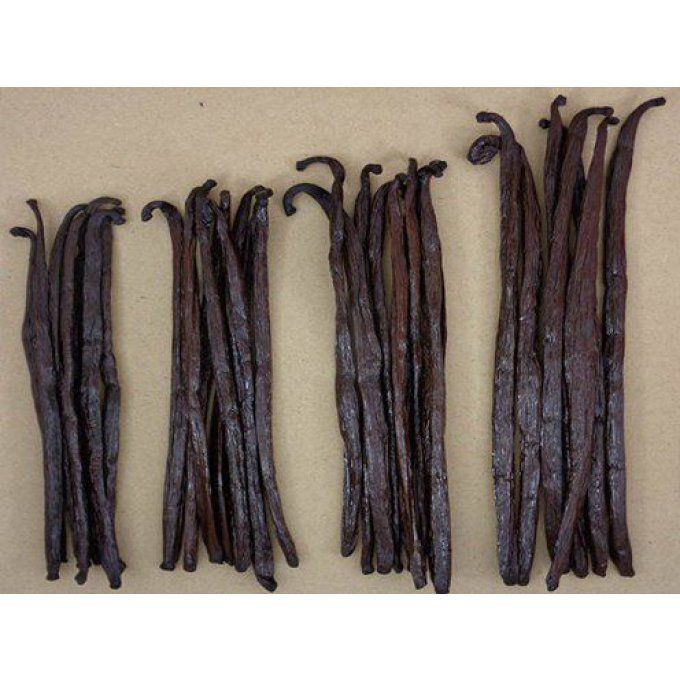 Vanilles Rouges US Fendues