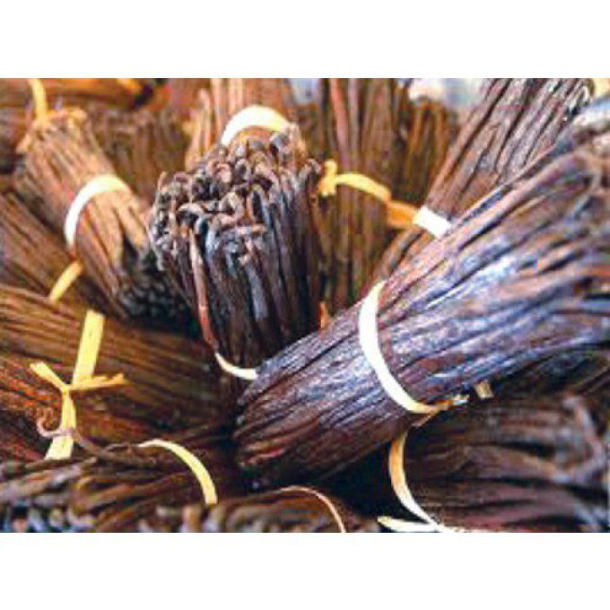 Vanilles Rouges US Non Fendues